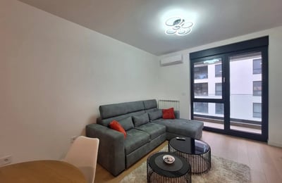 Аренда новой, меблированной 2-комнатной квартиры, 46 м², Новый Белград, Сербия